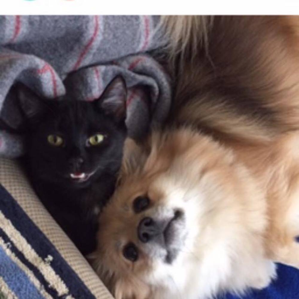 Meet your Posher, Lynne